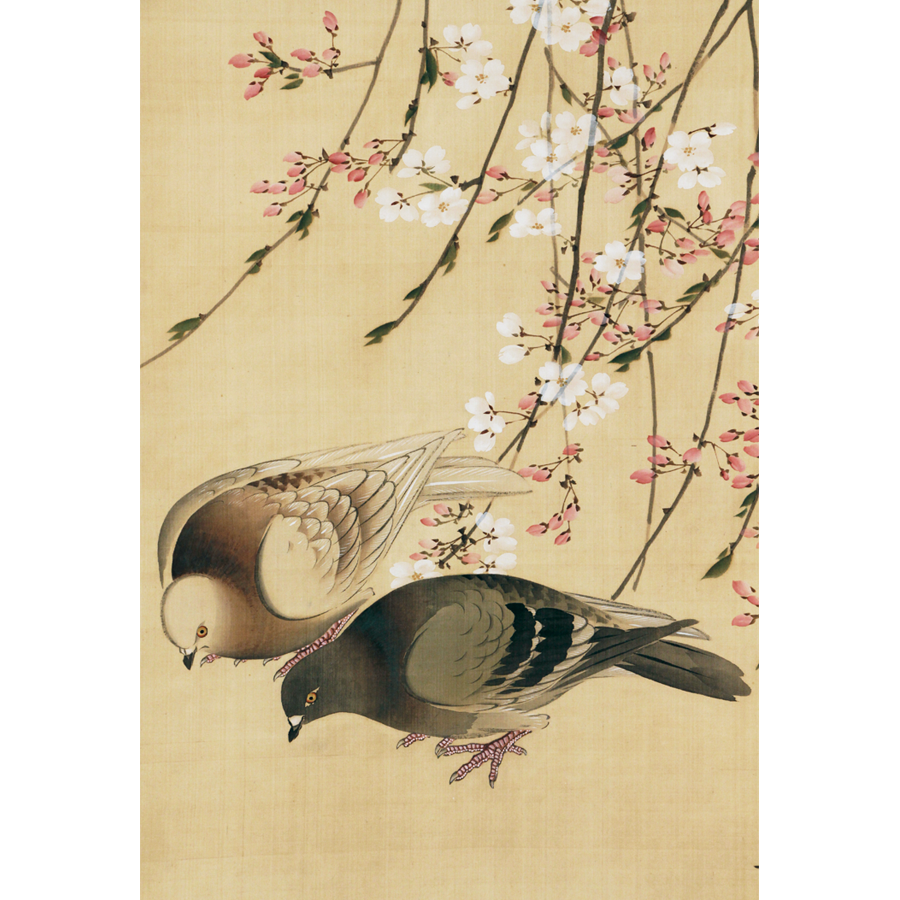 松村景文 枝垂桜双鳩図 日本の動物画 いきもののかたち 江戸期の花鳥画などかわいい日本画のサイト