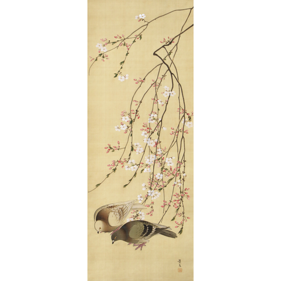 松村景文 枝垂桜双鳩図 - 日本の動物画‐いきもののかたち‐ 江戸期の 