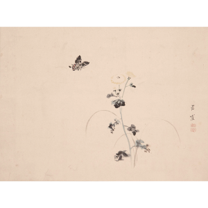 狩野芳崖 菊蝶図 日本の動物画 いきもののかたち 江戸期の花鳥画などかわいい日本画のサイト