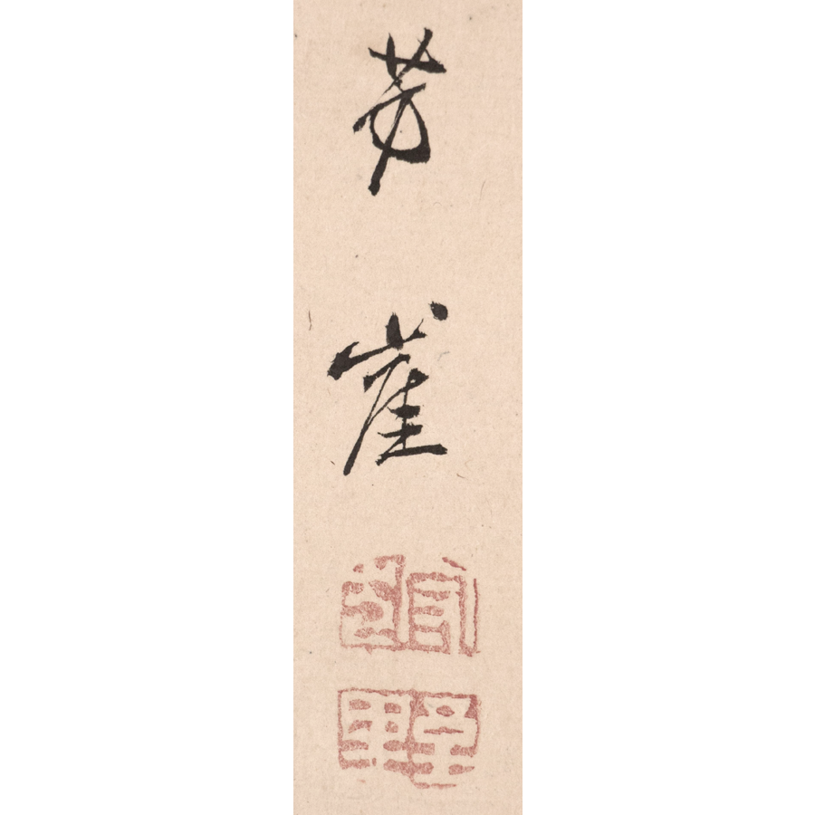 狩野芳崖 菊蝶図 日本の動物画 いきもののかたち 江戸期の花鳥画などかわいい日本画のサイト