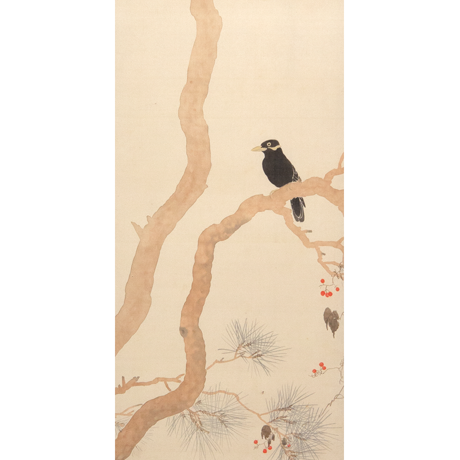 木村武山 秋松小鳥図 日本の動物画 いきもののかたち 江戸期の花鳥画などかわいい日本画のサイト