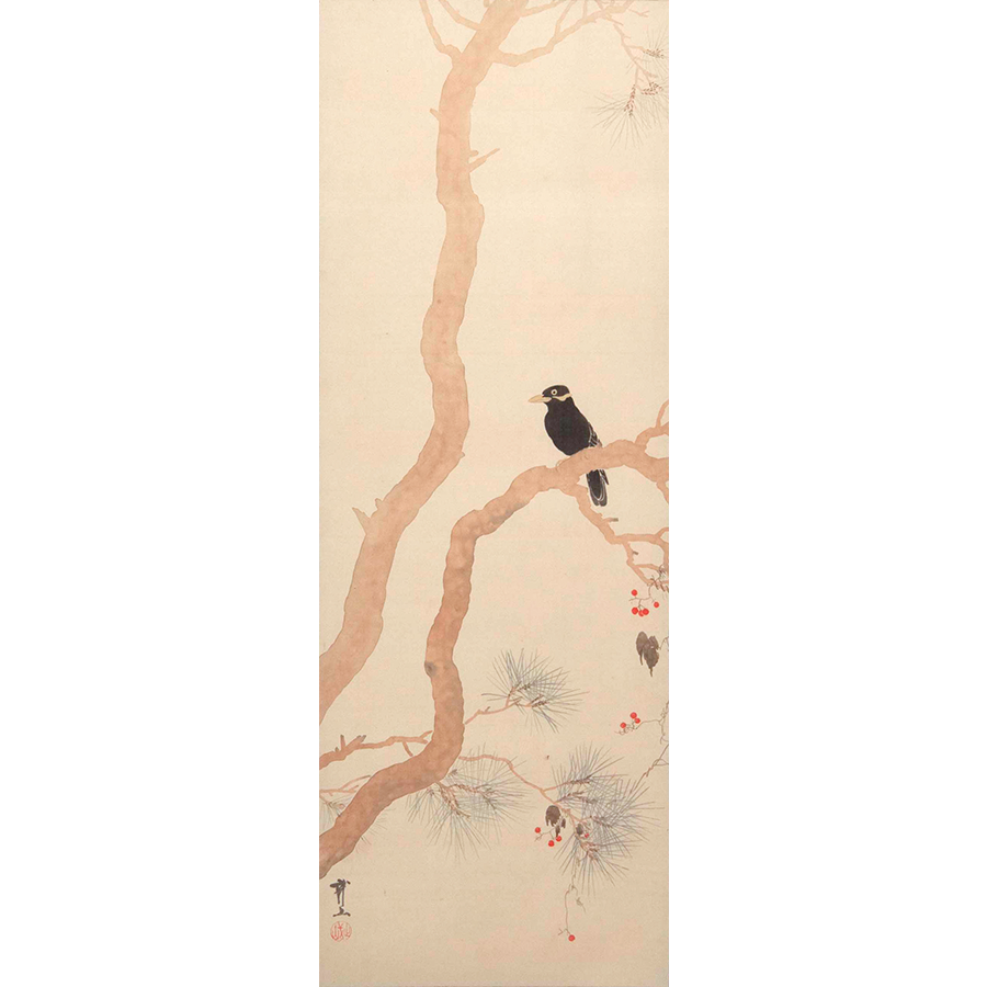木村武山 秋松小鳥図 - 日本の動物画‐いきもののかたち‐ 江戸期の花鳥