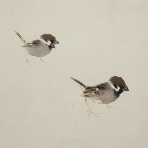 竹内栖鳳 二雀 日本の動物画 いきもののかたち 江戸期の花鳥画などかわいい日本画のサイト