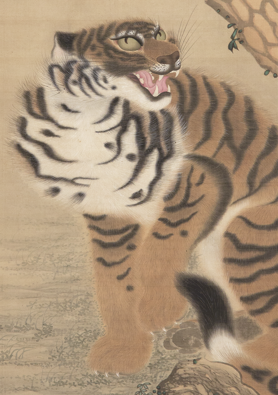 増田九木 老松虎 - 日本の動物画‐いきもののかたち‐ 江戸期の花鳥画 