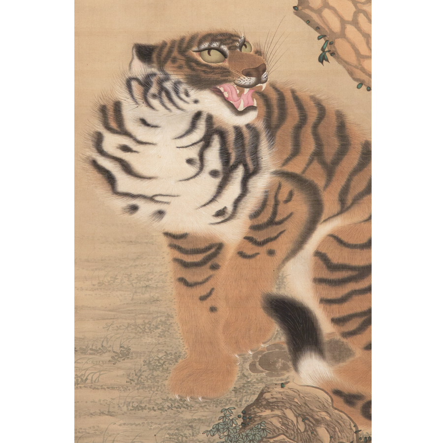 増田九木 老松虎 - 日本の動物画‐いきもののかたち‐ 江戸期の花鳥画 