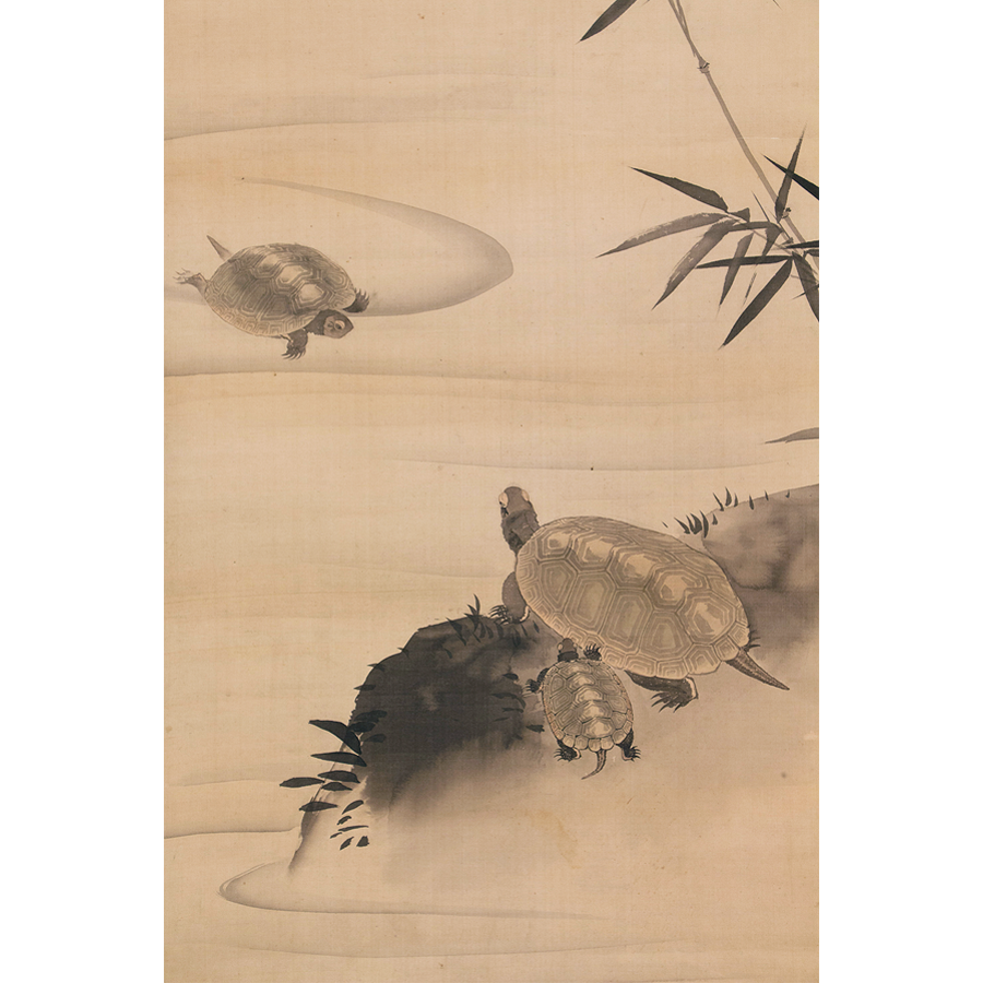 円山応挙 笹ニ親子亀 日本の動物画 いきもののかたち 江戸期の花鳥画などかわいい日本画のサイト
