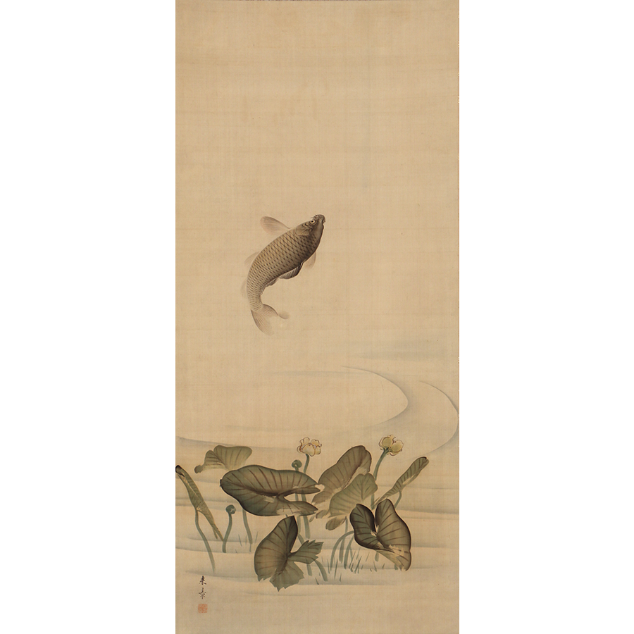 中島来章 水草鯉 日本の動物画 いきもののかたち 江戸期の花鳥画などかわいい日本画のサイト