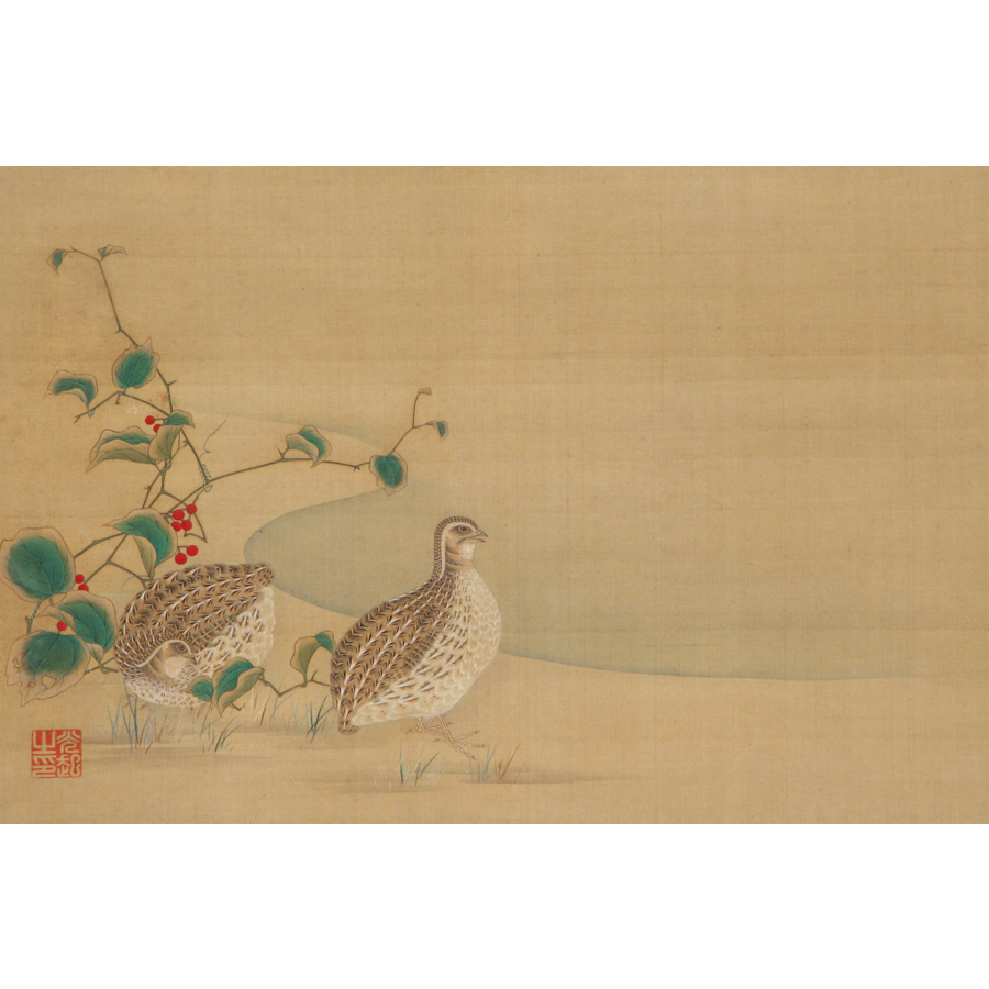 土佐光起 鶉 日本の動物画 いきもののかたち 江戸期の花鳥画などかわいい日本画のサイト