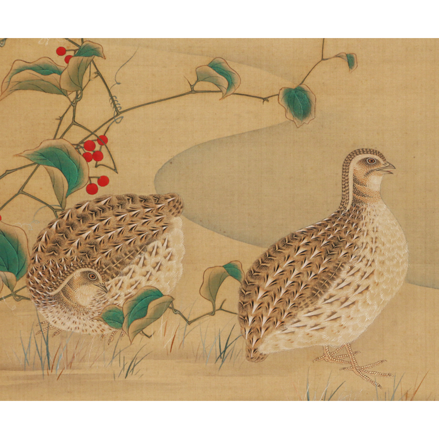 予約早割▲A533 土佐光起 筆? 雀 花鳥 江戸時代前期 土佐派を代表する絵師 日本画 掛軸 サイズ：約29.5㎝ x 148㎝ 花鳥、鳥獣