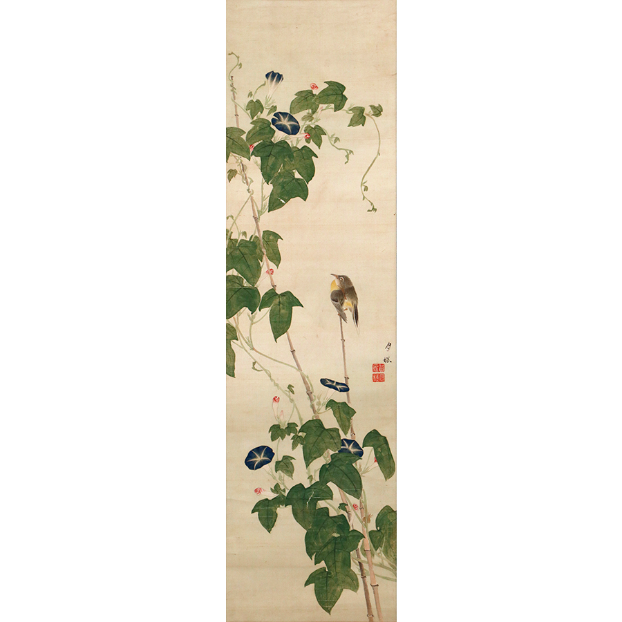張月樵 朝顔小禽図 日本の動物画 いきもののかたち 江戸期の花鳥画などかわいい日本画のサイト