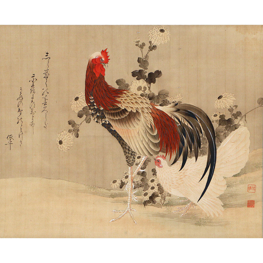 町野笠澤画 石川依平賛 白菊雙鶏図 日本の動物画 いきもののかたち 江戸期の花鳥画などかわいい日本画のサイト