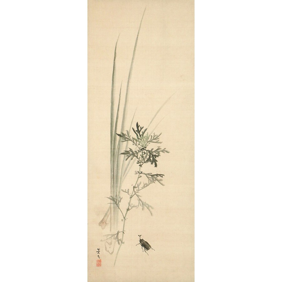 松村景文 菖蒲兜虫之図   日本の動物画‐いきもののかたち‐ 江戸期の