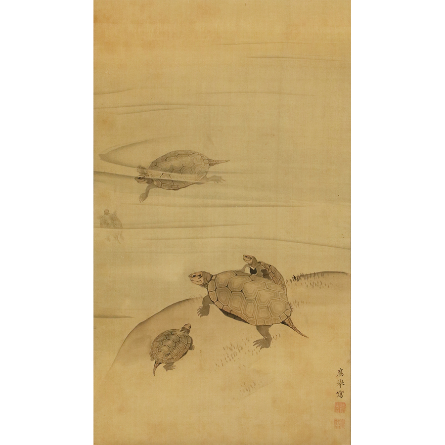 円山応挙 游亀図 日本の動物画 いきもののかたち 江戸期の花鳥画などかわいい日本画のサイト