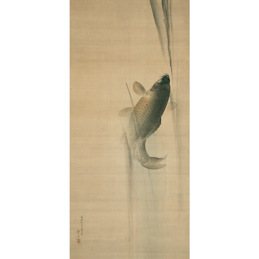岡本豊彦 登瀧鯉之図 日本の動物画 いきもののかたち 江戸期の花鳥画などかわいい日本画のサイト