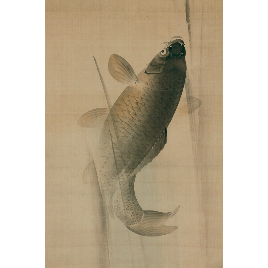 岡本豊彦 登瀧鯉之図 日本の動物画 いきもののかたち 江戸期の花鳥画などかわいい日本画のサイト