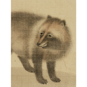 森狙仙 狸図 小品 日本の動物画 いきもののかたち 江戸期の花鳥画などかわいい日本画のサイト