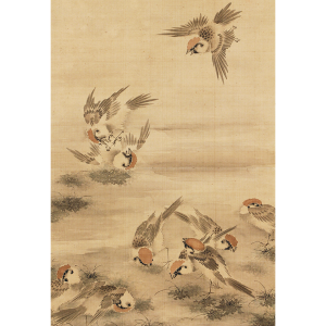 金子雪操 群雀遊喜図 日本の動物画 いきもののかたち 江戸期の花鳥画などかわいい日本画のサイト