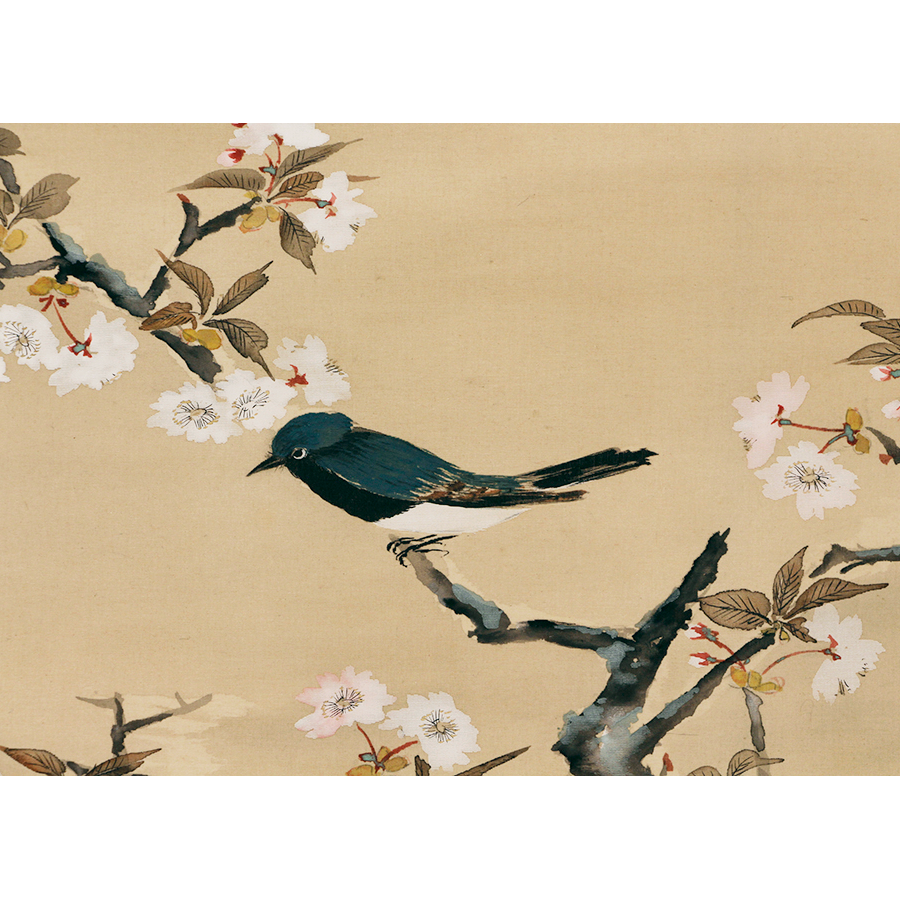 冨田渓仙 桜花小禽 日本の動物画 いきもののかたち 江戸期の花鳥画などかわいい日本画のサイト
