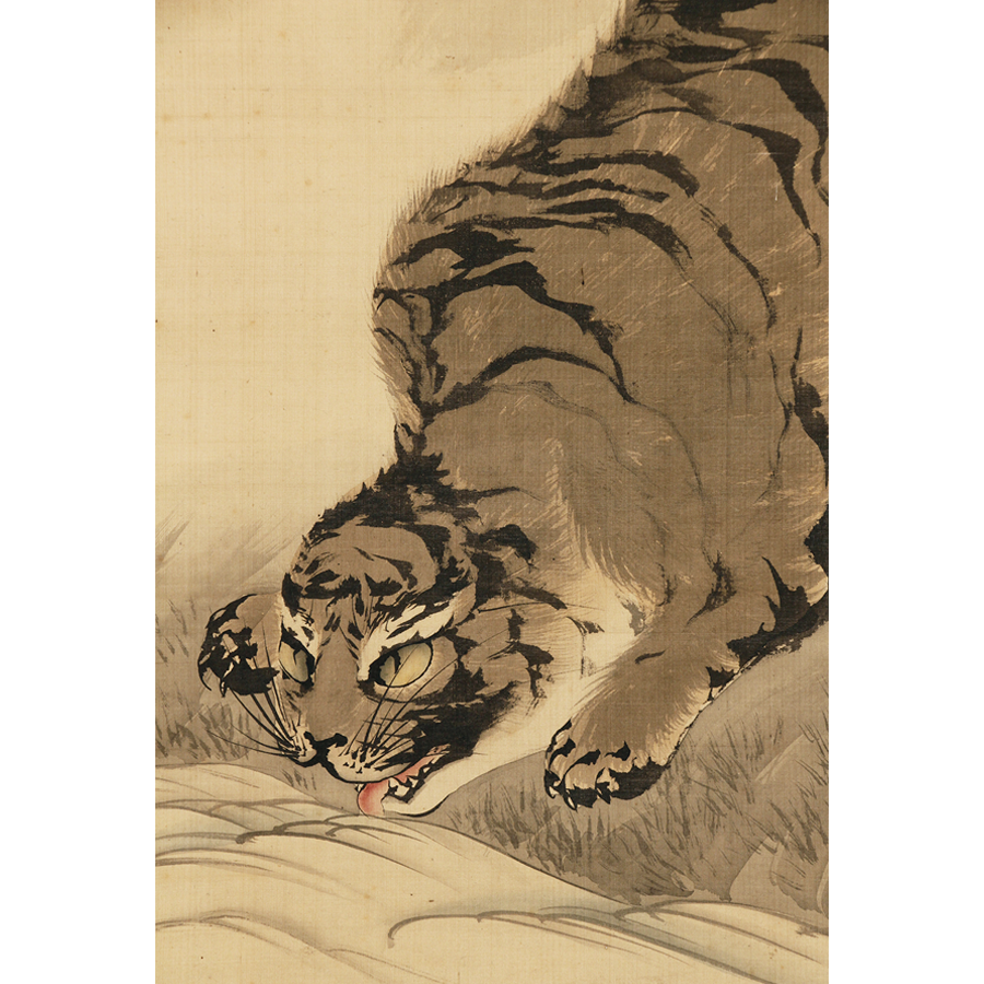 山口素絢 急風水呑虎図 日本の動物画 いきもののかたち 江戸期の花鳥画などかわいい日本画のサイト