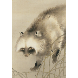 吉村鳳柳 月下狸之図 日本の動物画 いきもののかたち 江戸期の花鳥画などかわいい日本画のサイト