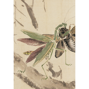 大出東皐 柳上蟷蜋取蝉之図 日本の動物画 いきもののかたち 江戸期の花鳥画などかわいい日本画のサイト