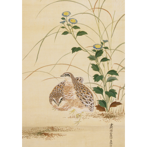 土佐光孚 秋草双鶉図 日本の動物画 いきもののかたち 江戸期の花鳥画などかわいい日本画のサイト
