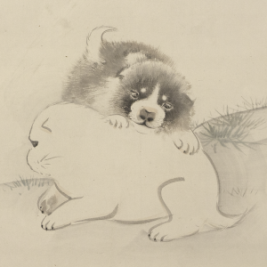 円山応挙 柳下狗子図 日本の動物画 いきもののかたち 江戸期の花鳥画などかわいい日本画のサイト
