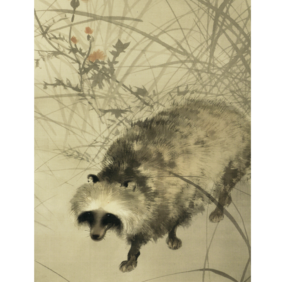 木島桜谷 老狸 日本の動物画 いきもののかたち 江戸期の花鳥画などかわいい日本画のサイト