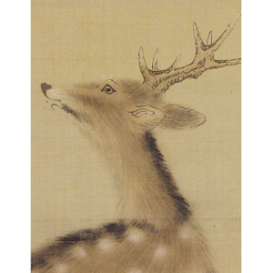 【模写】【WISH】森徹山 日本画 掛軸 〇応挙門下十哲の一人 、熊本藩主細川氏の藩臣、名は守真#jf19010046BUKHz1 熊本藩藩主・細川重賢は大名図譜を創ったパイオニアである