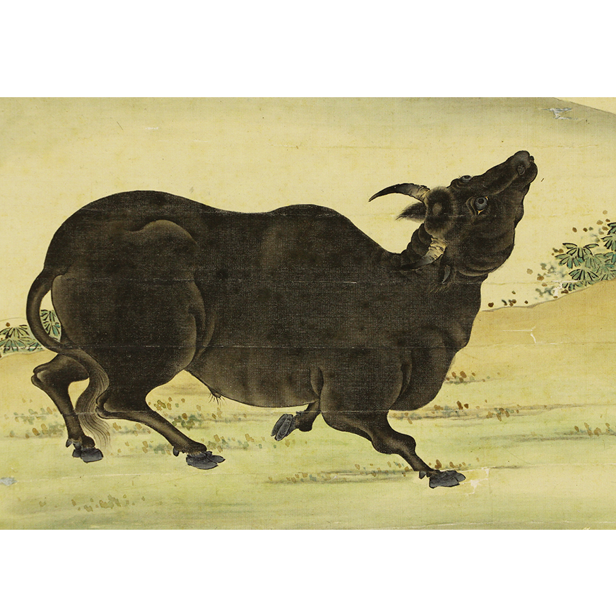 村田鶴皐 闘牛図 日本の動物画 いきもののかたち 江戸期の花鳥画などかわいい日本画のサイト