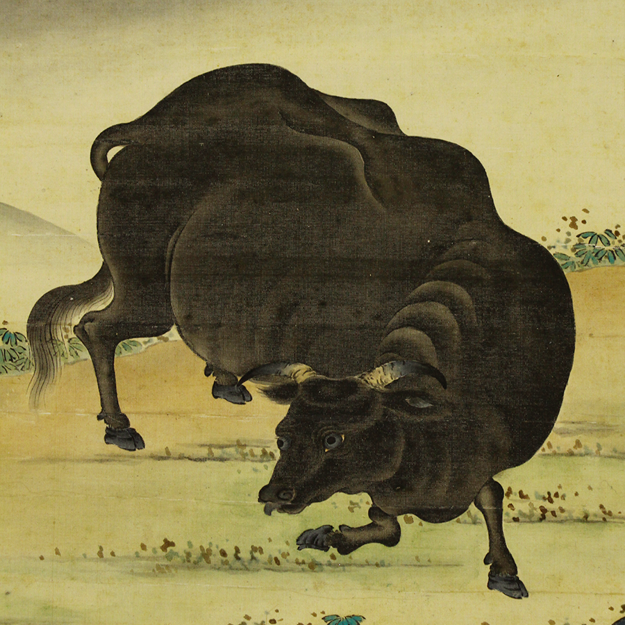 村田鶴皐 闘牛図 日本の動物画‐いきもののかたち‐ 江戸期の花鳥画などかわいい日本画のサイト