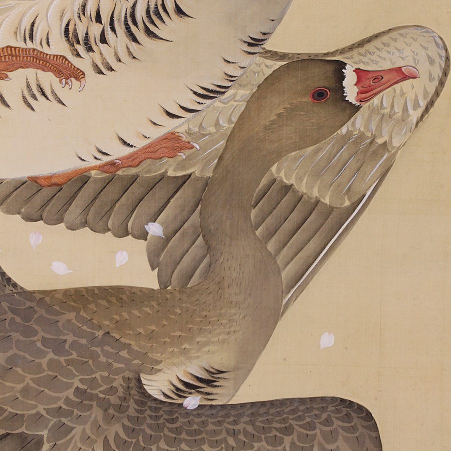 大特価新品掛軸　会津藩士 富貴神仙図　絹本肉筆　桜牡丹　師:塩田牛渚 （g100） 花鳥、鳥獣