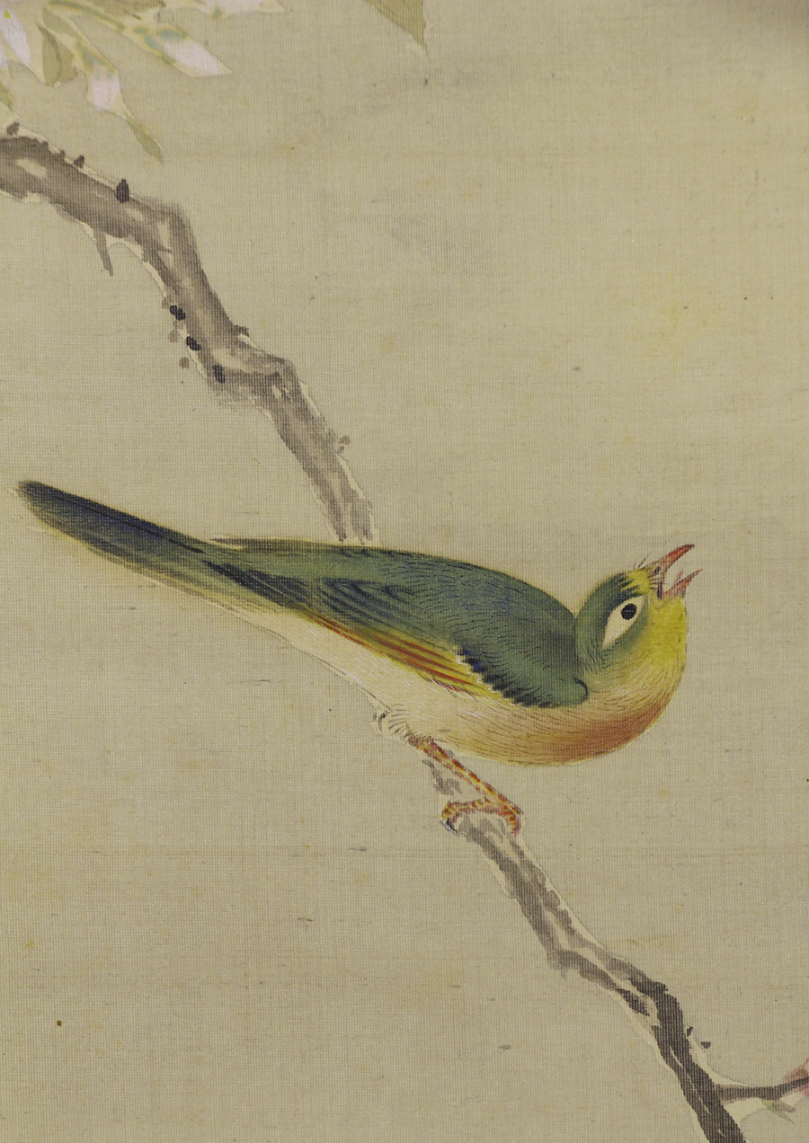 春木南溟 山桜双鳥図   日本の動物画‐いきもののかたち‐ 江戸期の花鳥