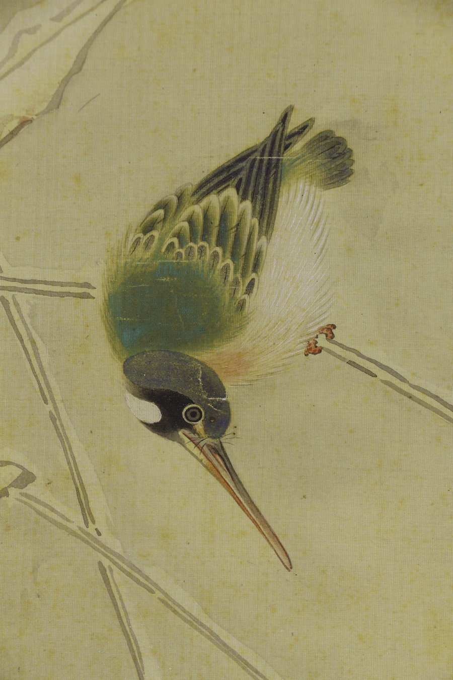 日本の動物画 いきもののかたち 江戸期の花鳥画などかわいい日本画のサイト ホーム