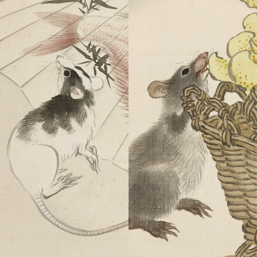 日本の動物画 いきもののかたち 江戸期の花鳥画などかわいい日本画のサイト ホーム