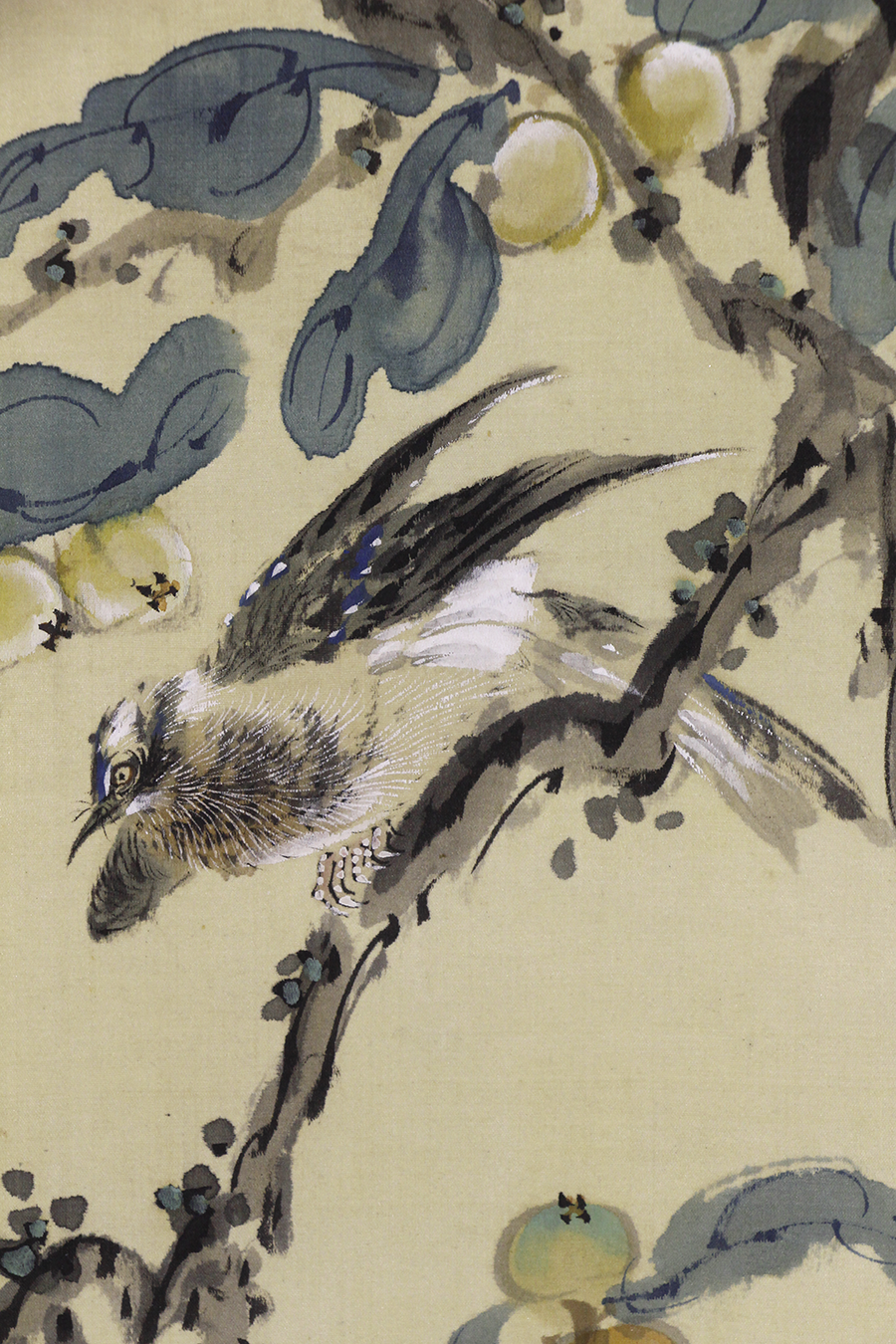 日本の動物画 いきもののかたち 江戸期の花鳥画などかわいい日本画のサイト ホーム