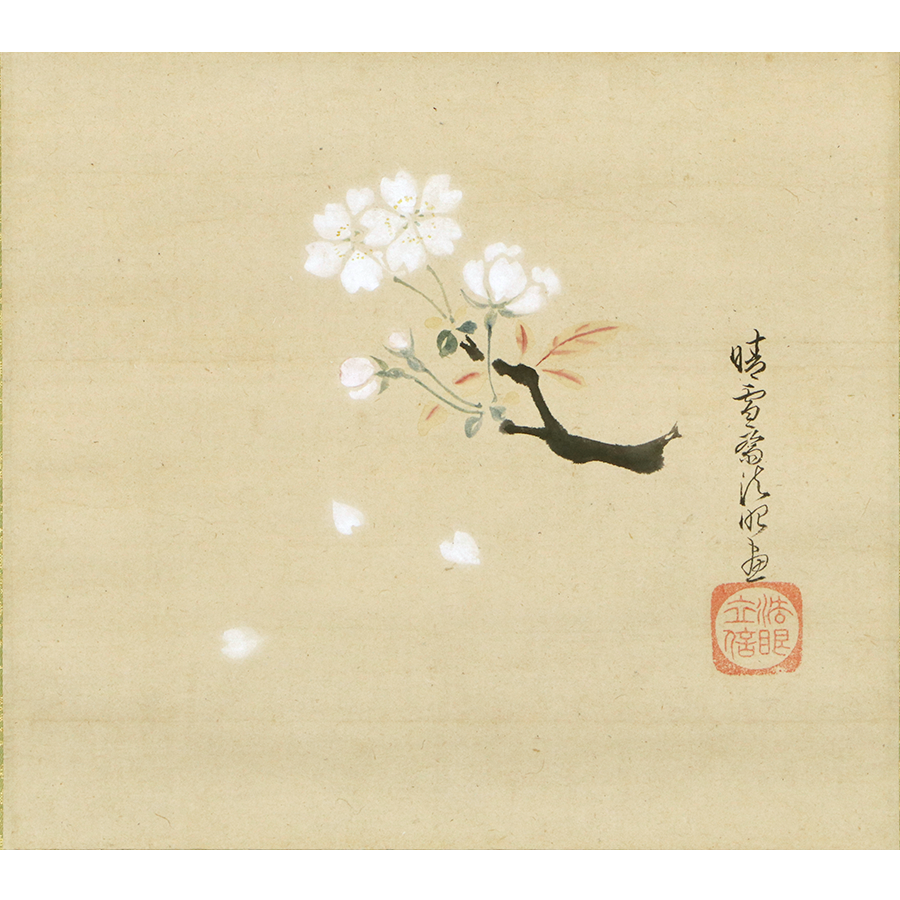 特価限定dr1036〈広瀬花隠〉連桜図 江戸時代 桜の絵師 花鳥、鳥獣