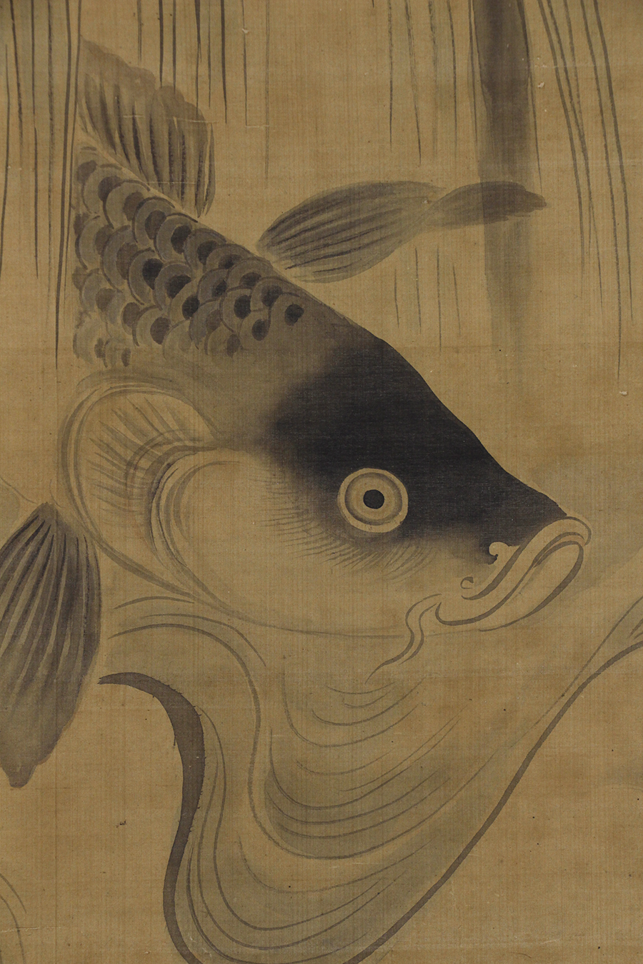 狩野永叔 龍門図   日本の動物画‐いきもののかたち‐ 江戸期の花鳥画