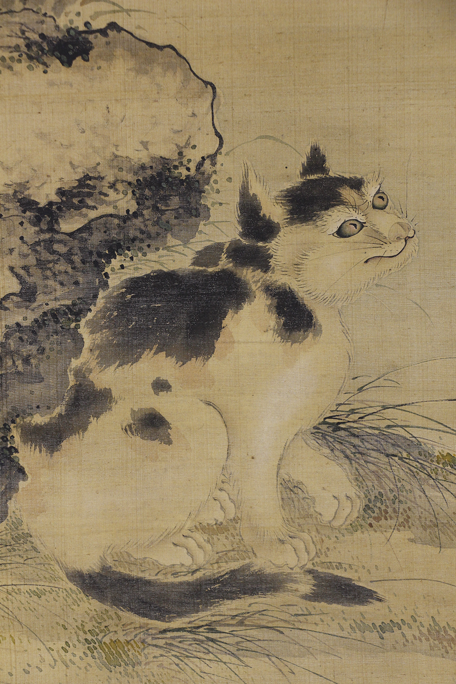 須田国太郎 紅梅二鶴 色紙 - 日本の動物画‐いきもののかたち‐ 江戸期の