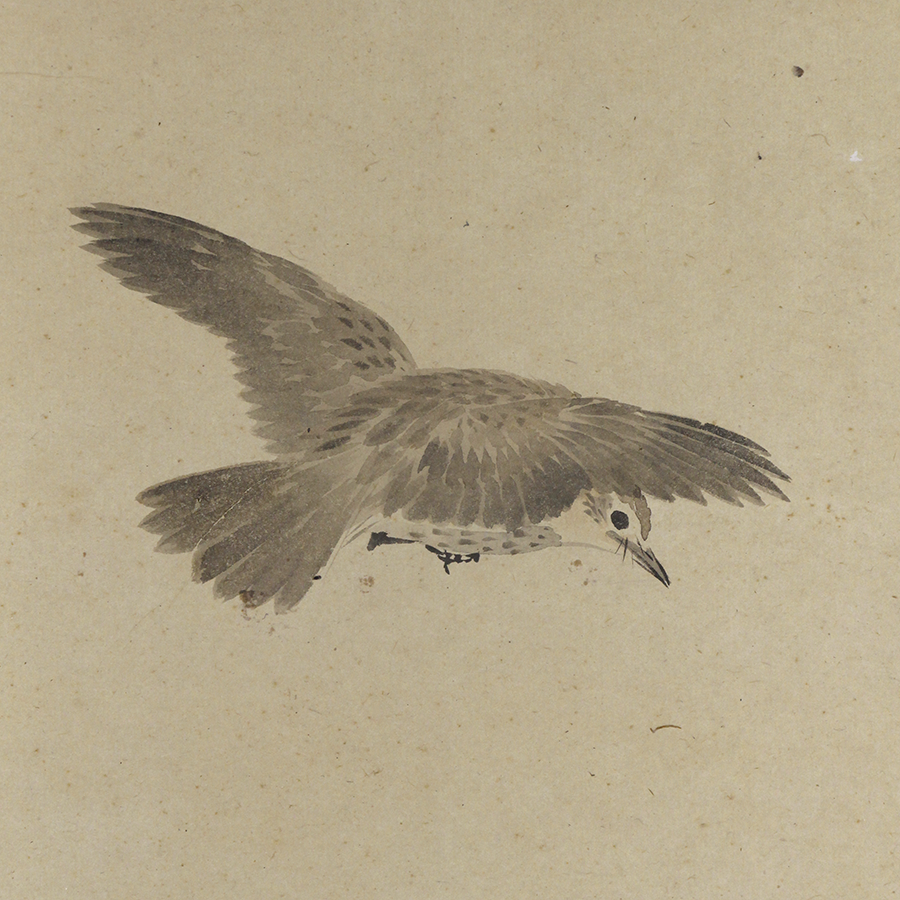 好評即納・作者名：　・作者不詳　・画題：　・南天に鳥　・技法：　・日本画（複製） 花鳥、鳥獣