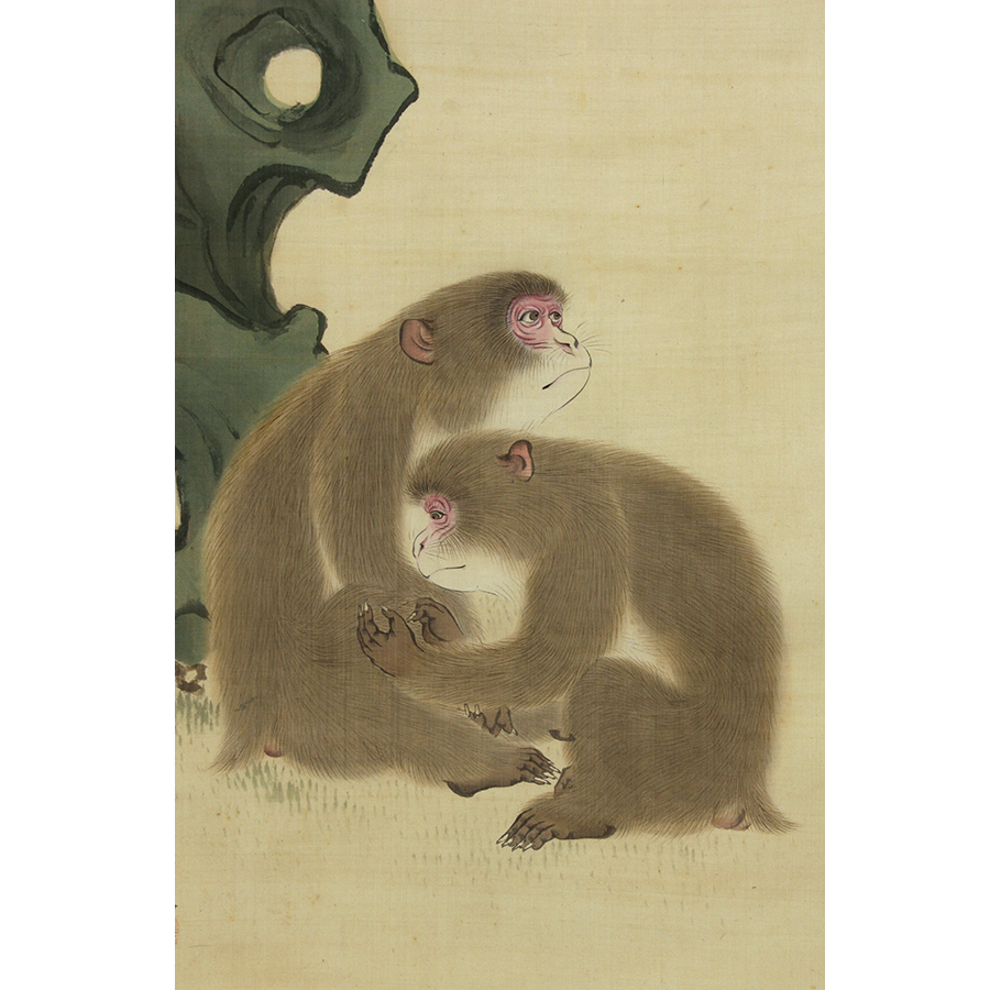 松村景文 遠松太閤石猿図 - 日本の動物画‐いきもののかたち‐ 江戸期の 